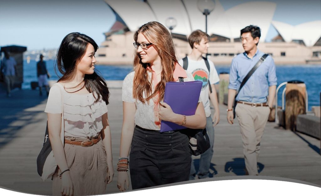 Hoa Văn CLC & Tư Vấn Du Học