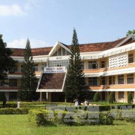 Hoa Văn CLC & Tư Vấn Du Học