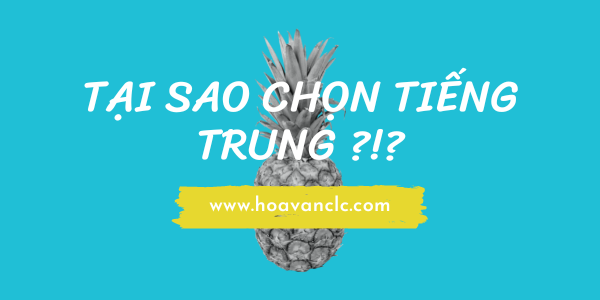 Hoa Văn CLC & Tư Vấn Du Học