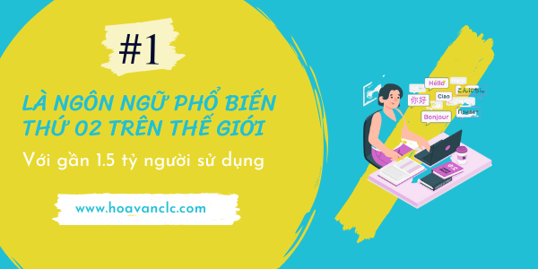 Hoa Văn CLC & Tư Vấn Du Học