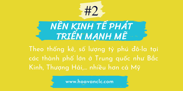Hoa Văn CLC & Tư Vấn Du Học