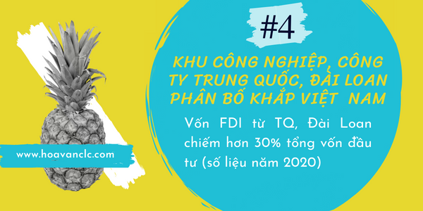 Hoa Văn CLC & Tư Vấn Du Học