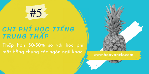 Hoa Văn CLC & Tư Vấn Du Học