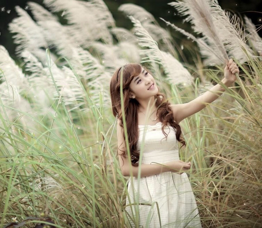 Hoa Văn CLC & Tư Vấn Du Học